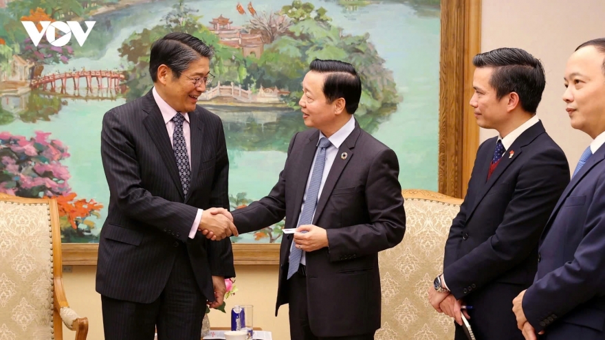 Deputy PM reaffirms Vietnam – Japan close partnership